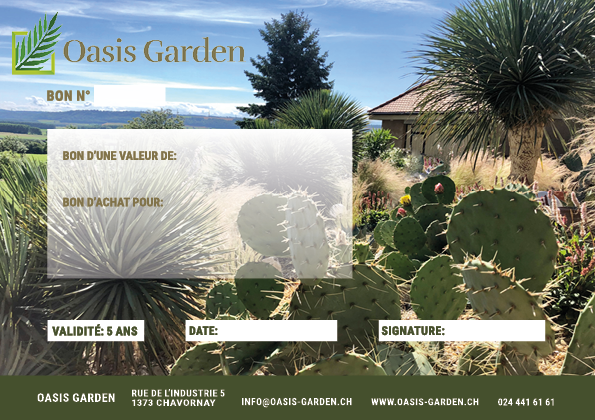 Bon-cadeau_novembre_2020